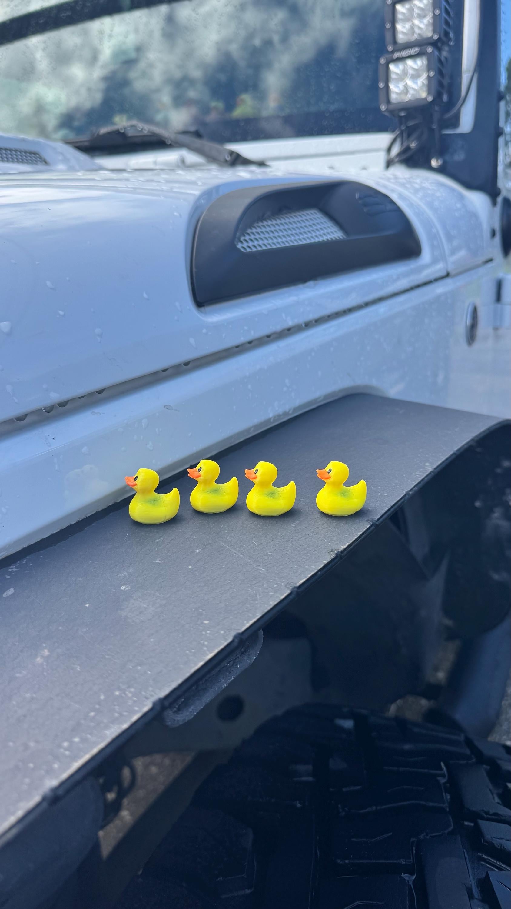 Jeep Wrangler Duck Valve Stem Caps